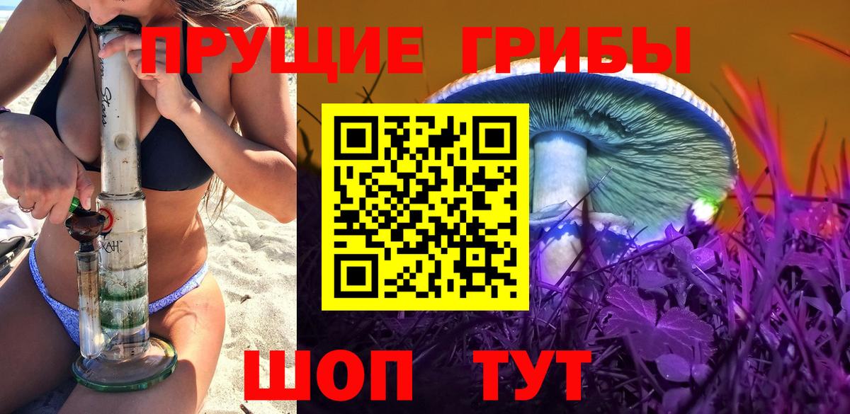 Псилоцибиновые грибы Cubensis Энгельс